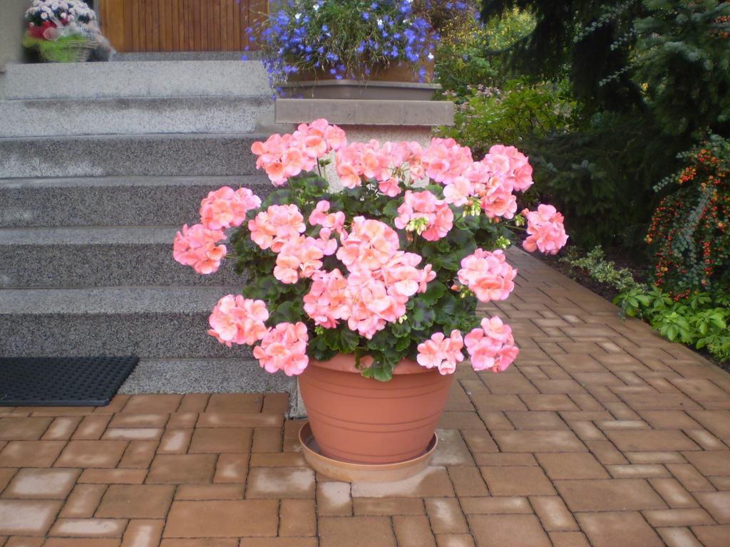 apartman pro 4 osoby Česká Skalice Habitación foto